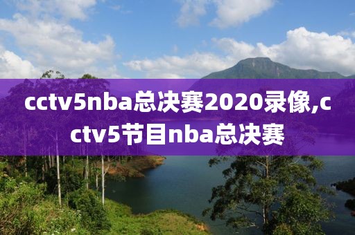 cctv5nba总决赛2020录像,cctv5节目nba总决赛