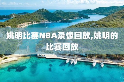 姚明比赛NBA录像回放,姚明的比赛回放