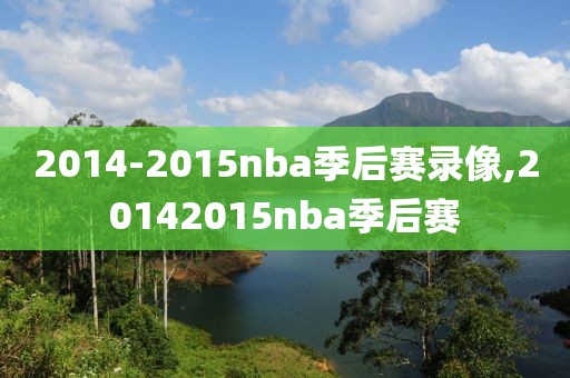 2014-2015nba季后赛录像,20142015nba季后赛