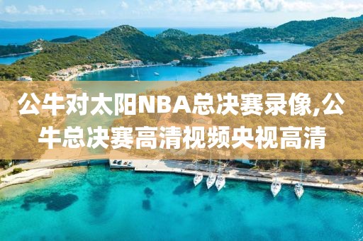 公牛对太阳NBA总决赛录像,公牛总决赛高清视频央视高清