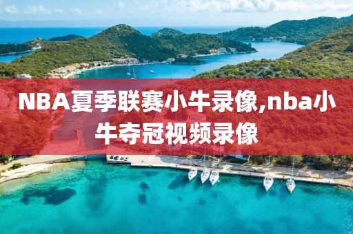 NBA夏季联赛小牛录像,nba小牛夺冠视频录像