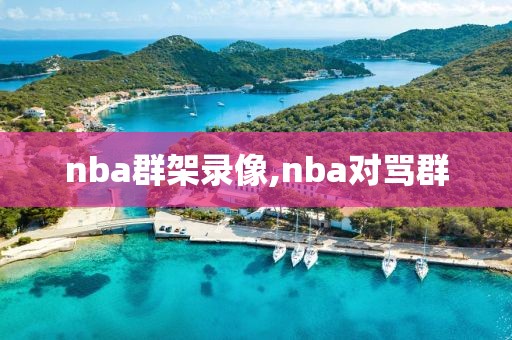 nba群架录像,nba对骂群