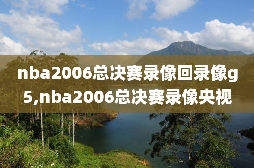 nba2006总决赛录像回录像g5,nba2006总决赛录像央视
