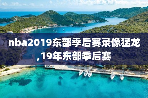 nba2019东部季后赛录像猛龙,19年东部季后赛