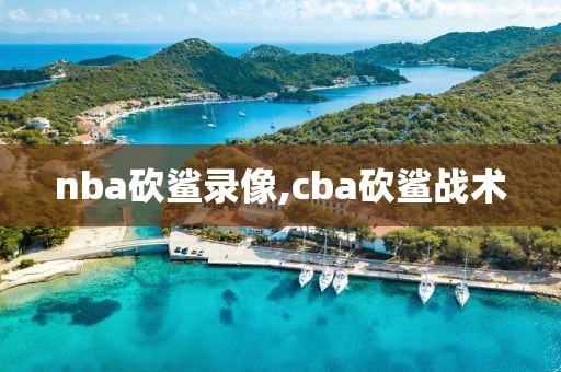 nba砍鲨录像,cba砍鲨战术