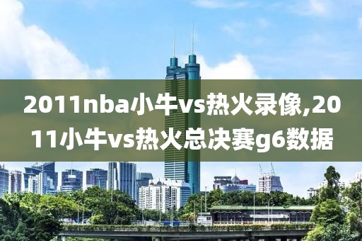 2011nba小牛vs热火录像,2011小牛vs热火总决赛g6数据