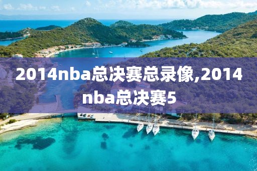 2014nba总决赛总录像,2014nba总决赛5