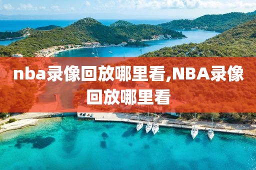 nba录像回放哪里看,NBA录像回放哪里看