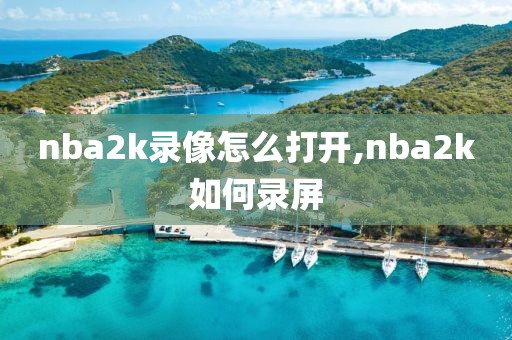 nba2k录像怎么打开,nba2k如何录屏