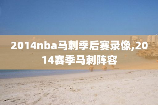 2014nba马刺季后赛录像,2014赛季马刺阵容